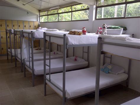 Chicos en un dormitorio de internado