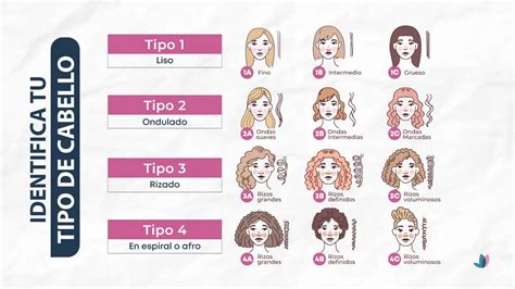 Infografía mostrando diferentes tipos de cabello y cómo el color Vivid Berry podría verse en cada uno