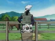 Kakashi amarrando a su propio equipo