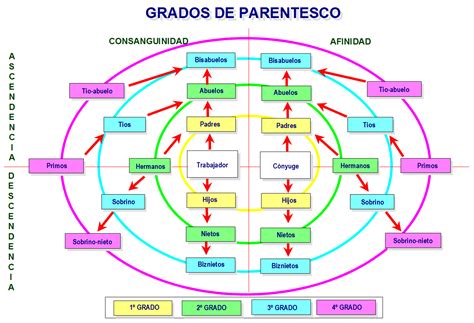 Diagrama de las relaciones familiares y amorosas en Domestic na Kanojo