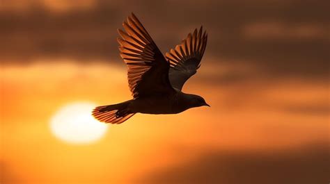 Pájaro volando libremente sobre un muro