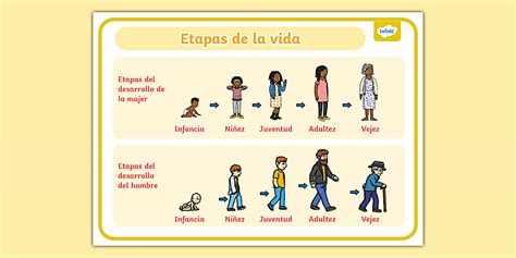 Marron en diferentes etapas de su vida