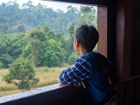 Naruto mirando por la ventana del hospital
