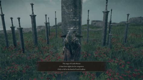 Un cementerio de espadas en Elden Ring