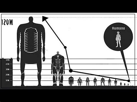 Comparación de altura entre personajes humanos de Shingeki no Kyojin