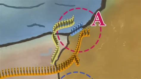 Diagrama de las alianzas y enemigos en la Cuarta Guerra Mundial Shinobi
