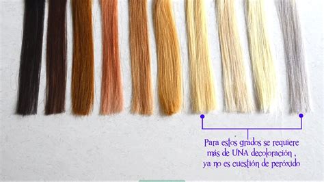 Esquema de las etapas de decoloración del cabello