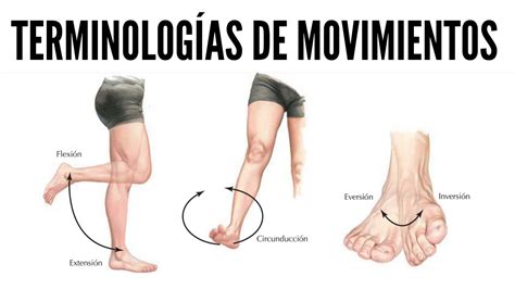 Ilustración de los miembros del Cuerpo de Entrenamiento 104º