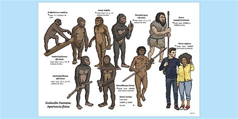 Ilustración de Dan Katō, mostrando su apariencia física y vestimenta.