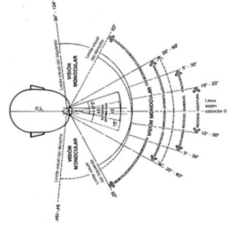 Campo de visión del Byakugan