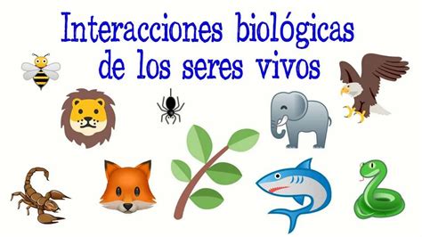 Tabla resumen de los efectos de las interacciones en el tiempo de rendimiento.