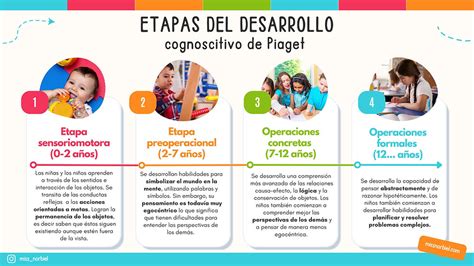 Diagrama de las etapas de desarrollo del Susanoo