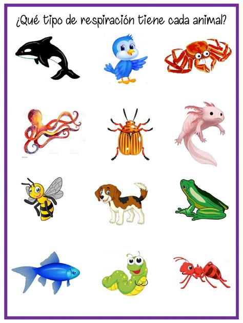 Representación de diferentes estilos de respiración