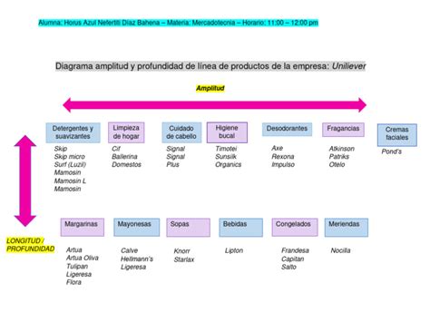 Infografía de la línea de productos ICON