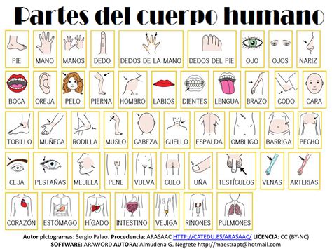 Diagrama mostrando las diferentes partes del cuerpo usadas en las patadas de Sanji