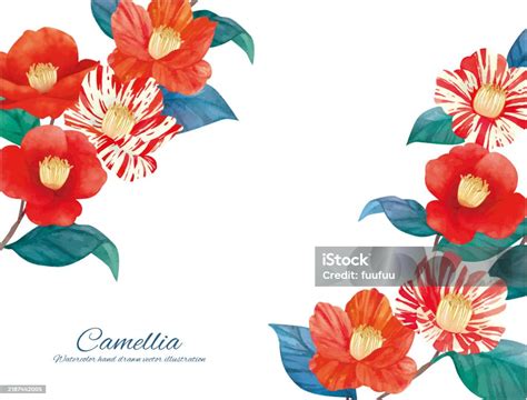 Ilustración de Tsubaki y Yuu