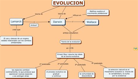 Esquema de la evolución del Diable Jambe