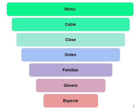 Clasificación de la Clase 104 de Cadetes