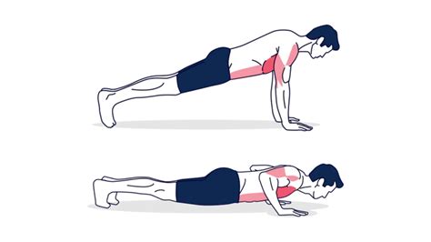 Flexiones para pecho