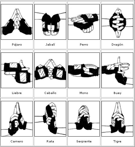 Diagrama de los sellos manuales de algunos ninjutsu populares