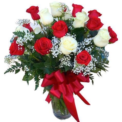 rosas rojas y blancas