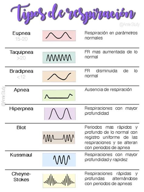Ilustración de diferentes tipos de respiración