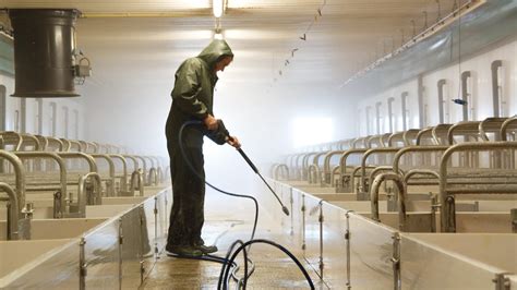 Limpieza y desinfección de instalaciones ganaderas