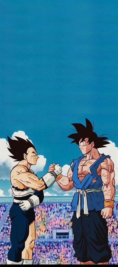 Ilustración de Goku y Vegeta en combate