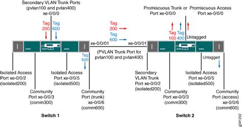 Tabla comparativa de puertos de acceso y troncales