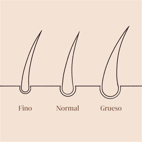 Comparativa de cabello y vello facial de Saiyajin