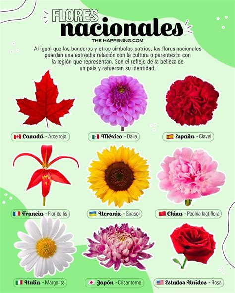 Representación de la Capital de las Flores y sus habitantes