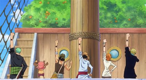 Luffy y su tripulación en busca del tesoro