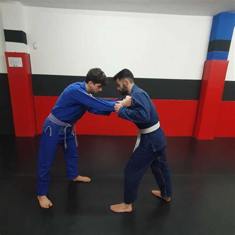 Diagrama de las posiciones básicas en Jiu Jitsu: Guardia, Montada, Espalda