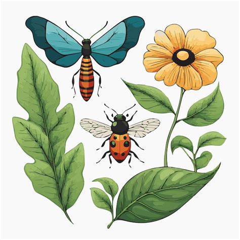 Ilustración de Gamatatsu trayendo insectos