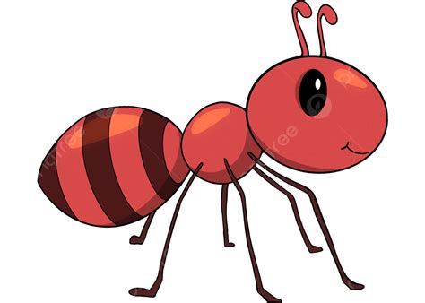 Ilustración de hormiga