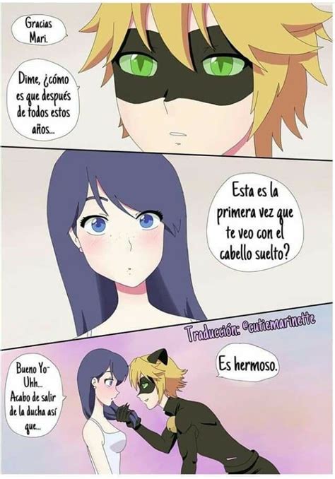 Personaje de Gato Callejero en Miraculous Ladybug