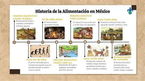 Infografía comparando las diferentes versiones de Frankie Stein a lo largo del tiempo