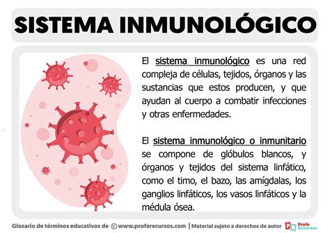 Infografía sobre la importancia de un sistema inmunológico saludable