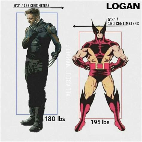 Comparativa de estatura: Wolverine en cómics vs. Hugh Jackman