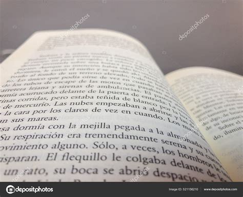 Páginas del libro 