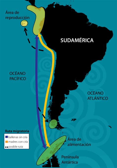 Mapa mostrando la ruta de expansión de la judía verde desde América