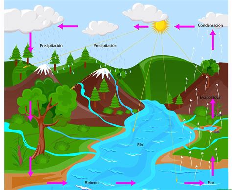 Diagrama del ciclo del agua y formación de ríos
