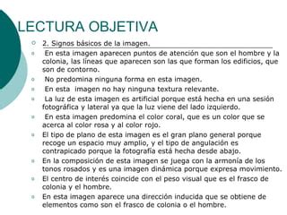 Esquema de lectura objetiva de una imagen