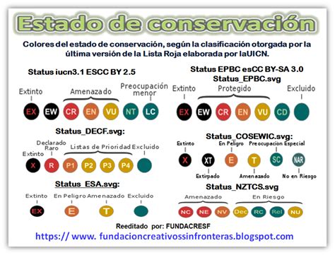 Comparativa de estados de conservación de cómics