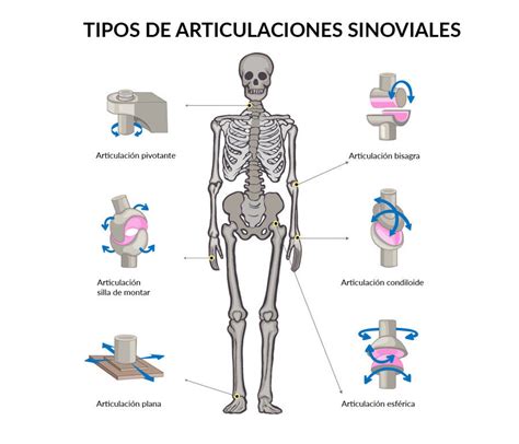 Detalle de las articulaciones de la figura de Krilin