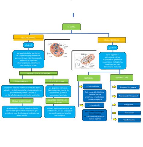 Diseño conceptual de Célula