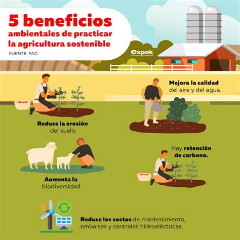 Infografía sobre los beneficios de la compensación ambiental en las compras