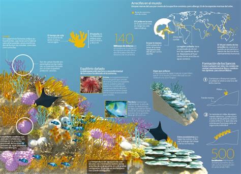 Mapa de arrecifes de coral en el Caribe