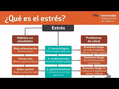 Diagrama que ilustra la relación entre estrés, percepción y síntomas físicos