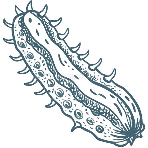 Ilustración de un pepino de mar estilizado con elementos de anime